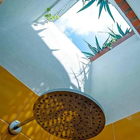 Hotel Les Lezards 3*
